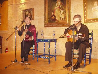 20071209131742-flamenco-por-las-penas.jpg