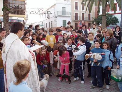 20080114163416-animales.jpg