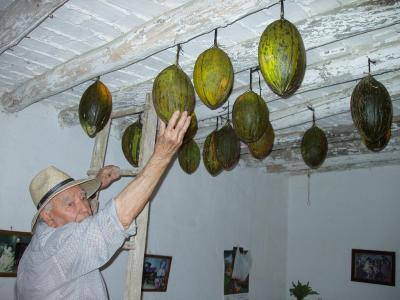 20080911081915-melones-de-invierno.jpg