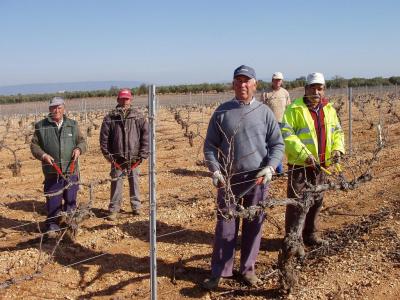 20090218173423-poda-de-vinedo-en-lopera.jpg
