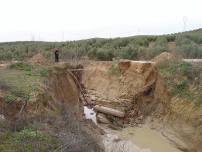 20100301180516-copia-de-puente-caido.jpg