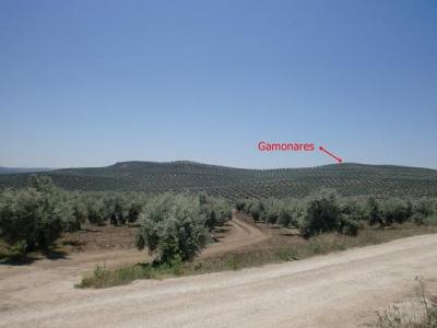20100724094011-cimg1479r.jpg
