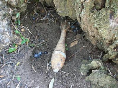 20110122181308-copia-de-bomba-guerra-civil.jpg